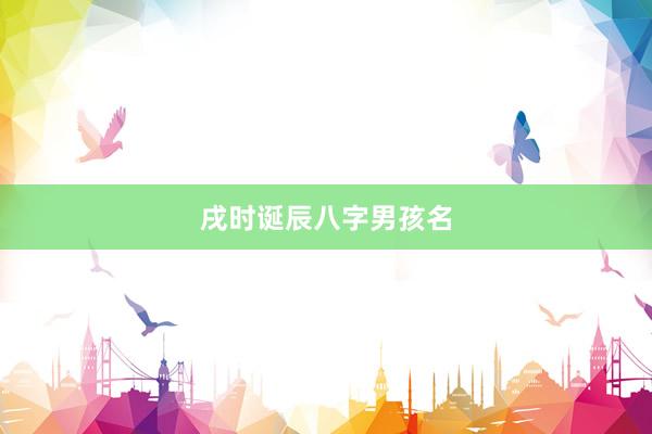 戌时诞辰八字男孩名